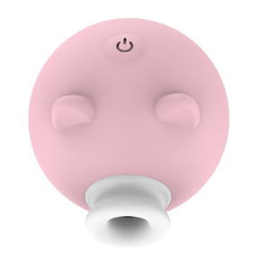 SR. PIGGY - Prazer Garantido